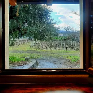 La Finestra Sul Vigneto Castiglione De Sicilia