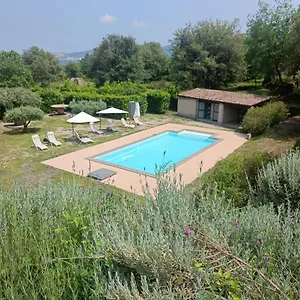 Il Tanaceto Castiglione De Sicilia